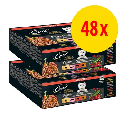 Cesar Natural Goodness Casserole, méga-pack 48x portions, visuel de deux boîtes avec ingrédients visibles et icônes poulet, bœuf, poisson, agneau. Texte 'grain free' et image d’un chien. Cesar Natural Goodness Casserole, méga-pack 48x portions, visuel de deux boîtes avec ingrédients visibles et icônes poulet, bœuf, poisson, agneau. Texte 'grain free' et image d’un chien.