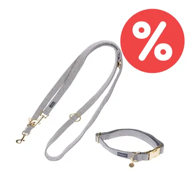 Graues Hundehalsband und passende Leine mit goldfarbenen Metallverschlüssen. Rotes Prozent-Symbol für Rabattaktion sichtbar.