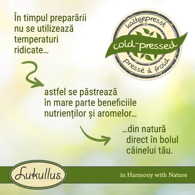 Text: În timpul preparării nu se utilizează temperaturi ridicate, astfel se păstrează în mare parte beneficiile nutrienților și aromelor din natură direct în bolul câinelui tău. Lukullus.