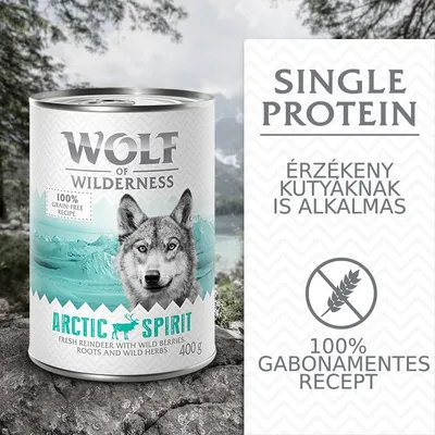 Wolf of Wilderness Arctic Spirit 400 g, single protein, 100% gabonamentes recept, érzékeny kutyáknak is alkalmas, 100% grain-free recipe felirat látható a képen.