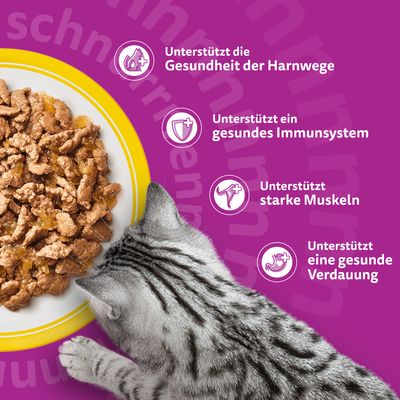 Whiskas Senior 7+ / 11+ Katze Nassfutter Frischebeutel 96 x 85 g - 7+ Geflügelauswahl in Gelee