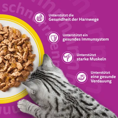 Whiskas Senior 7+ / 11+ Katze Nassfutter Frischebeutel 96 x 85 g - 7+ Geflügelauswahl in Gelee