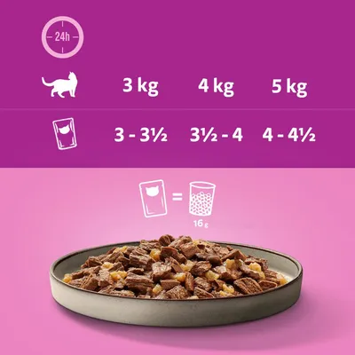 Ruokintasuositus kissoille: 3 kg = 3–3½ pussia, 4 kg = 3½–4 pussia, 5 kg = 4–4½ pussia. 1 pussi vastaa 16 g kuivaruokaa.