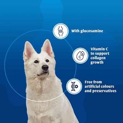 8in1 Vitality Glukosamin tabletter