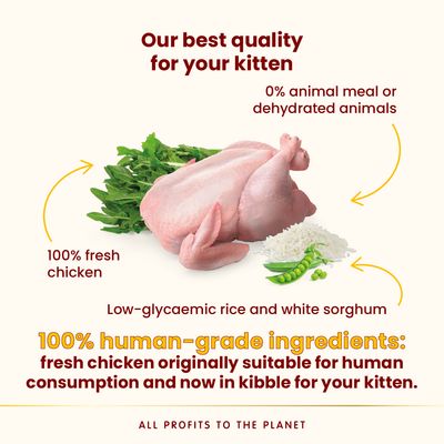 Almo Nature HFC Kitten Chicken