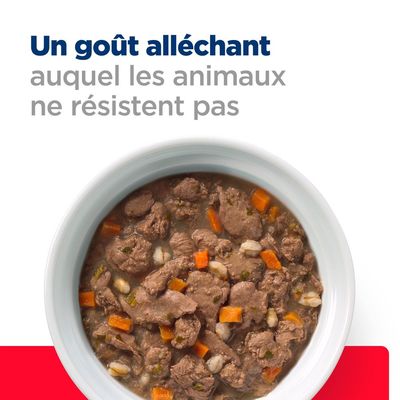 Un goût alléchant auquel les animaux ne résistent pas (texte en haut), bol de nourriture humide avec morceaux de viande, carottes et céréales visibles.