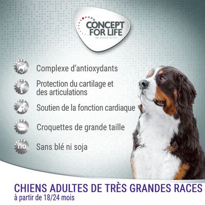 Concept for Life. Chiens adultes de très grandes races à partir de 18/24 mois. Complexe d’antioxydants, protection du cartilage et des articulations, sans blé ni soja.