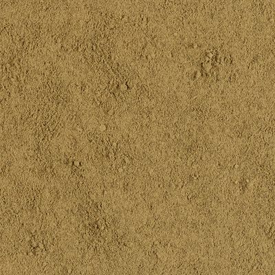 Concept for Life Dental Powder Supplement