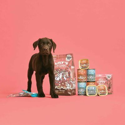 Zwarte pup naast Lily's Kitchen Puppy hondenvoer: grote zak, natvoerbakjes en snacks. Verpakkingen tonen merknaam en illustraties, tekst 'Proper Meat' zichtbaar op sommige producten.