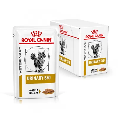 ROYAL CANIN VETERINARY URINARY S/O cat food pouch and box, visible text: Morsels in Gravy, image of a cat on packaging.