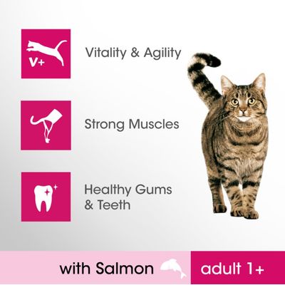Teksti: Vitality & Agility, Strong Muscles, Healthy Gums & Teeth, with Salmon, adult 1+. Kuvassa myös kissa ja lohen kuva.