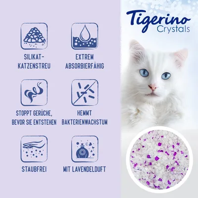 Tigerino Crystals Silikat-Katzenstreu: extrem absorbierfähig, stoppt Gerüche bevor sie entstehen, hemmt Bakterienwachstum, staubfrei, mit Lavendelduft.