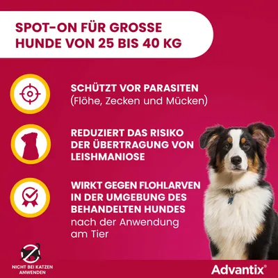 Spot-on für große Hunde von 25 bis 40 kg. Schützt vor Parasiten, reduziert das Risiko der Übertragung von Leishmaniose, wirkt gegen Flohlarven. Nicht bei Katzen anwenden.