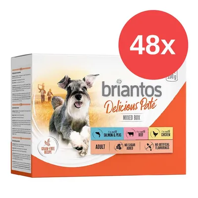Briantos Delicious Paté boîte mixte, 48x200g. Variétés : saumon & pois, bœuf, poulet. Sans céréales, sans sucre ajouté, sans arômes artificiels. Pour chiens adultes. Briantos Delicious Paté boîte mixte, 48x200g. Variétés : saumon & pois, bœuf, poulet. Sans céréales, sans sucre ajouté, sans arômes artificiels. Pour chiens adultes.
