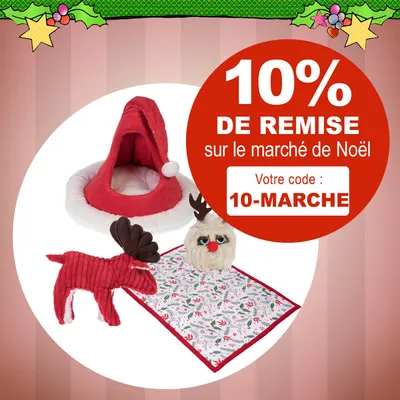 Porte 15 : 10 % de réduction sur tout le marché de Noël : 10-MARCHE - Code :<b> 10-MARCHE</b>