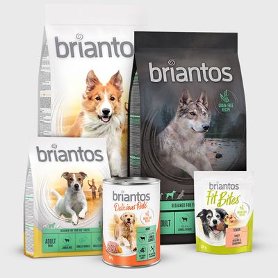Forskellige Briantos hundeprodukter: Tørfoder, vådfoder og snacks. Synlige varianter: Lamb & Rice, Lamb & Potato, Fit Bites Senior med kalkun og tranebær.