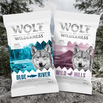 Probeer nu! Wolf of Wilderness Droogvoer voor Honden