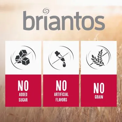  Briantos Adult Lam & Aardappel -  Graanvrij Hondenvoer - 4 x 1 kg