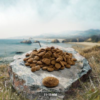 Droogvoer-pellets op steen, met schaalverdeling en vermelding van de pelletgrootte: 11–13 mm.