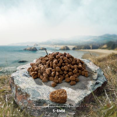 Croquettes pour animaux posées sur une pierre, avec un morceau mis en avant et indication de taille : 5–6 mm