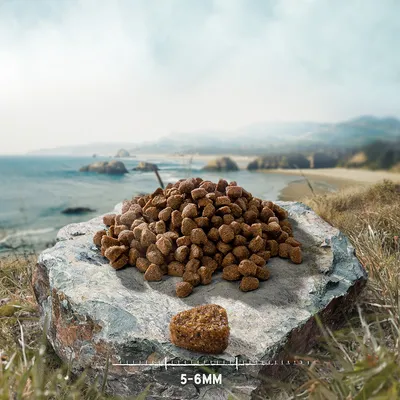 Croquettes pour animaux posées sur une pierre, avec un morceau mis en avant et indication de taille : 5–6 mm
