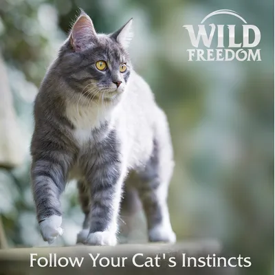 Wild Freedom Adult Sterilised 6 x 400 g - spannmålsfritt innehåll Wild Freedom Adult Sterilised 6 x 400 g - spannmålsfritt innehåll