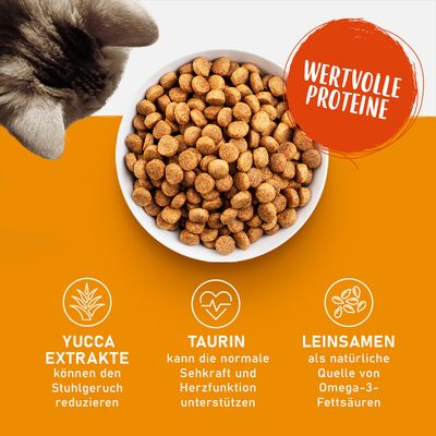 Trockenfutter in Schale mit Text: Wertvolle Proteine. Yucca-Extrakte reduzieren Stuhlgeruch, Taurin unterstützt Sehkraft und Herzfunktion, Leinsamen liefern Omega-3-Fettsäuren.