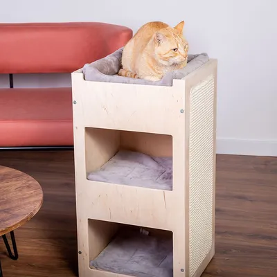 Tiragraffi in legno chiaro con tre livelli imbottiti e superficie laterale in corda, gatto arancione sdraiato sul piano superiore.