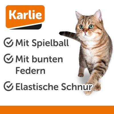 Canne à pêche Karlie Day and Night pour chat