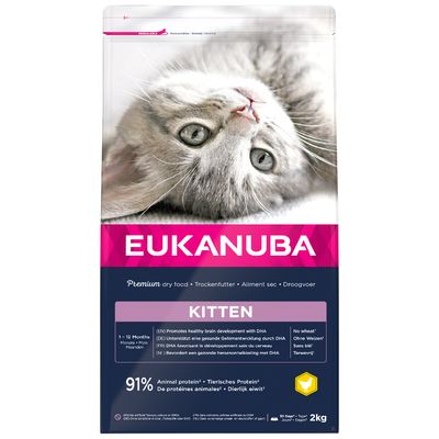 Eukanuba Healthy Start Kitten Výhodné balení: 3 x 2 kg