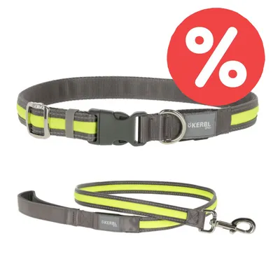 Kerbl Halsband und Leine in Grau mit gelben Streifen, Metallring und Verschluss. Rotes Prozent-Symbol für Rabatt sichtbar. Kerbl Halsband und Leine in Grau mit gelben Streifen, Metallring und Verschluss. Rotes Prozent-Symbol für Rabatt sichtbar.