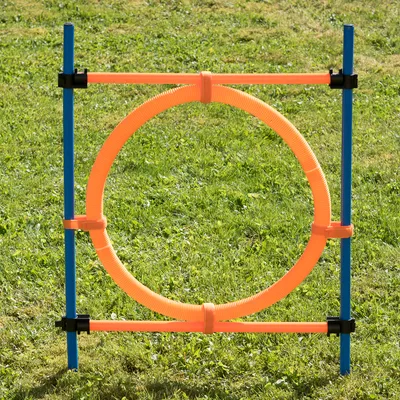 Agility-este oranssilla renkaalla ja sinisillä tangoilla, sopii ulkotreeniin nurmella.