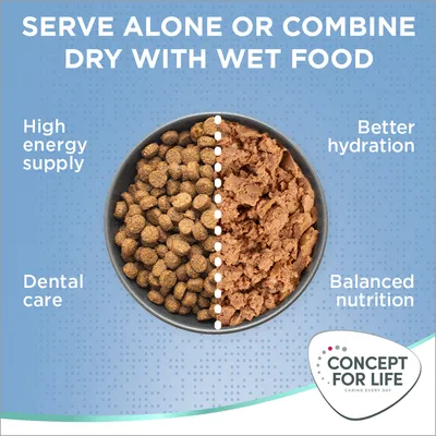 Immagine con ciotola divisa tra crocchette e cibo umido, testo in inglese: serve alone or combine dry with wet food, high energy supply, dental care, better hydration, balanced nutrition. Concept for Life.