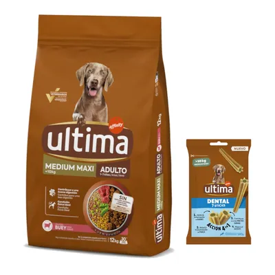 Ultima 3 à 18 kg + friandises Dental Sticks Medium / Maxi 180 g offertes ! - Medium / Maxi Adult bœuf (12 kg)