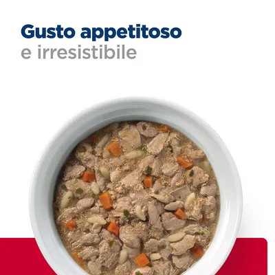 Ciotola con bocconcini di cibo umido per animali, visibili pezzi di carne, carote e altri ingredienti. Testo: Gusto appetitoso e irresistibile.