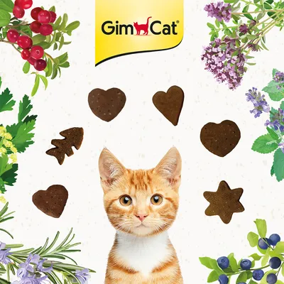 GimCat. Diverse kattenlekkernijen in de vorm van een hart, ster en boom, omringd door kruiden en bessen, met een kat op de voorgrond. GimCat. Diverse kattenlekkernijen in de vorm van een hart, ster en boom, omringd door kruiden en bessen, met een kat op de voorgrond.