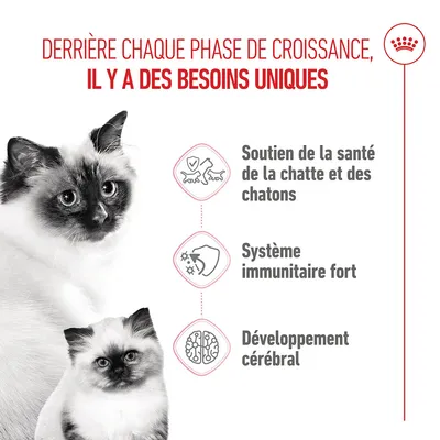 Soutien de la santé de la chatte et des chatons, système immunitaire fort, développement cérébral. Répond aux besoins à chaque phase de croissance.