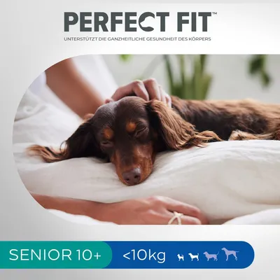 Perfect Fit Senior 10+, podporuje celkové zdraví těla, vhodné pro psy do 10 kg.