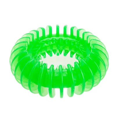 Grüner, ringförmiger Spielzeug aus Kunststoff mit gerillter Oberfläche.