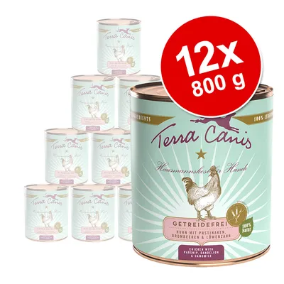 Balenie 12 konzerv Terra Canis, každá 800 g. Viditeľný text: Getreidefrei, Huhn mit Pastinaken, Brombeeren & Löwenzahn, 100 % Natur. Ilustrácia sliepky na etikete.