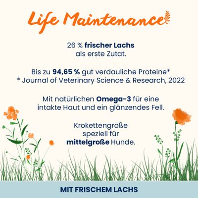 Almo Nature Life Maintenance Adult Lachs & Reis Medium
