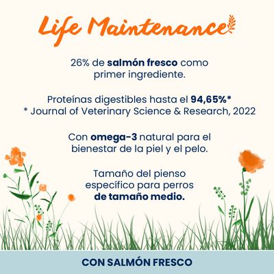 Almo Nature Life Maintenance Adult Medium salmón y arroz