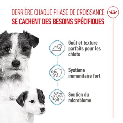 Graphique avec trois points : goût et texture pour les chiots, système immunitaire fort, soutien du microbiome. Texte français sur les besoins spécifiques lors des phases de croissance.