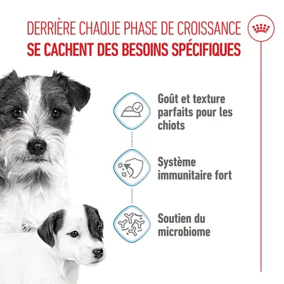 Graphique avec trois points : goût et texture pour les chiots, système immunitaire fort, soutien du microbiome. Texte français sur les besoins spécifiques lors des phases de croissance.
