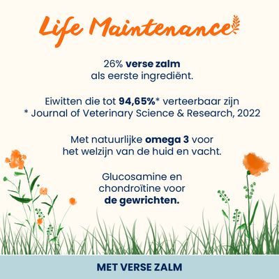 Almo Nature Adult Zalm & Rijst Large Hondenvoer