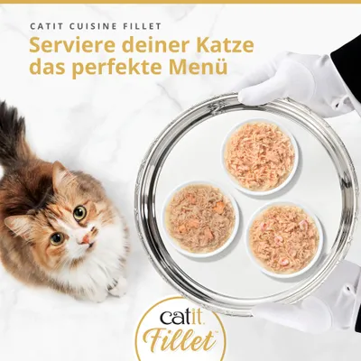 Catit Cuisine Fillet. Szolgáld fel cicádnak a tökéletes menüt. Három tál Catit Fillet nedves eledel ezüst tálcán, egy macska mellett.