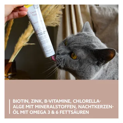 Derm Paste für Katzen, enthält Biotin, Zink, B-Vitamine, Chlorella-Alge mit Mineralstoffen, Nachtkerzenöl mit Omega-3- und -6-Fettsäuren. Katze leckt Paste aus Tube.