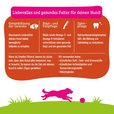 Liebevolles und gesundes Futter für deinen Hund: Unterstützung der Gelenke, Haut- und Fellpflege, Zahnpflege. Keine künstlichen Zusatzstoffe oder Weizengluten.