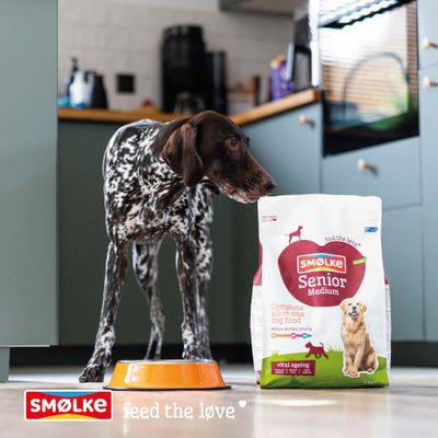 Hund neben Napf und Smølke Senior Medium Hundefutter, Aufschrift: Complete all-in-one dog food, vital ageing, feed the love.