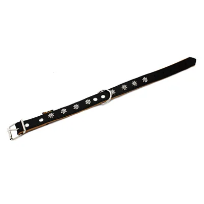 Heim Edelweiß, sort/natur Hundehalsbånd - 36 - 44 cm halsvidde, B 25 mm